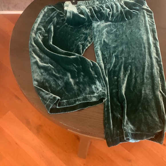 NWT Eileen Fisher Pine Velvet Wide Ankle Pants - Picture 5 of 10